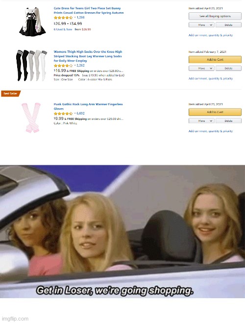 image tagged in get in loser we're going shopping | made w/ Imgflip meme maker