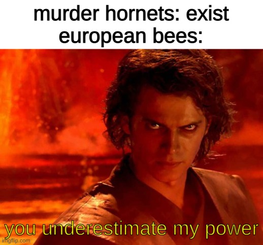 don't try it | murder hornets: exist
european bees:; you underestimate my power | image tagged in memes,you underestimate my power | made w/ Imgflip meme maker