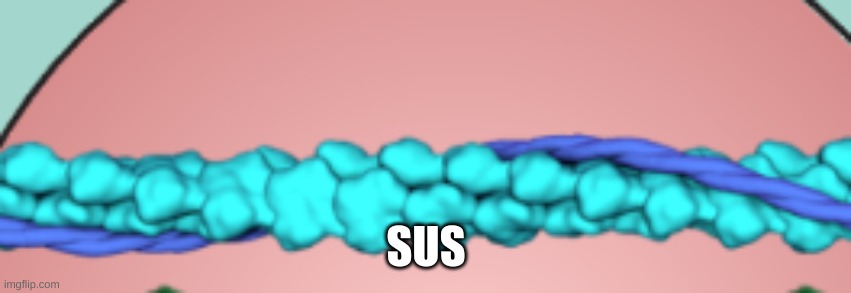 another science meme | SUS | image tagged in actin | made w/ Imgflip meme maker
