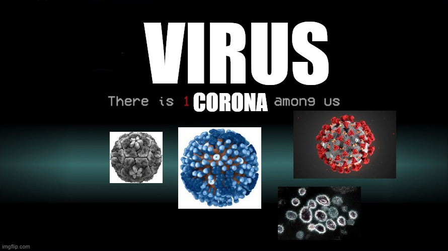 Crewmate: There is 1 Impostor among us [Without among us people] | VIRUS; CORONA | image tagged in crewmate there is 1 impostor among us without among us people | made w/ Imgflip meme maker