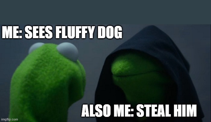 Evil Kermit | ME: SEES FLUFFY DOG; ALSO ME: STEAL HIM | image tagged in memes,evil kermit | made w/ Imgflip meme maker