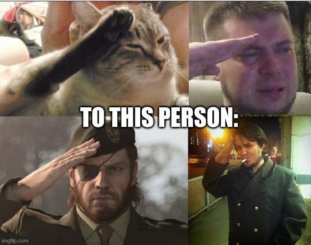 Ozon's Salute | TO THIS PERSON: | image tagged in ozon's salute | made w/ Imgflip meme maker