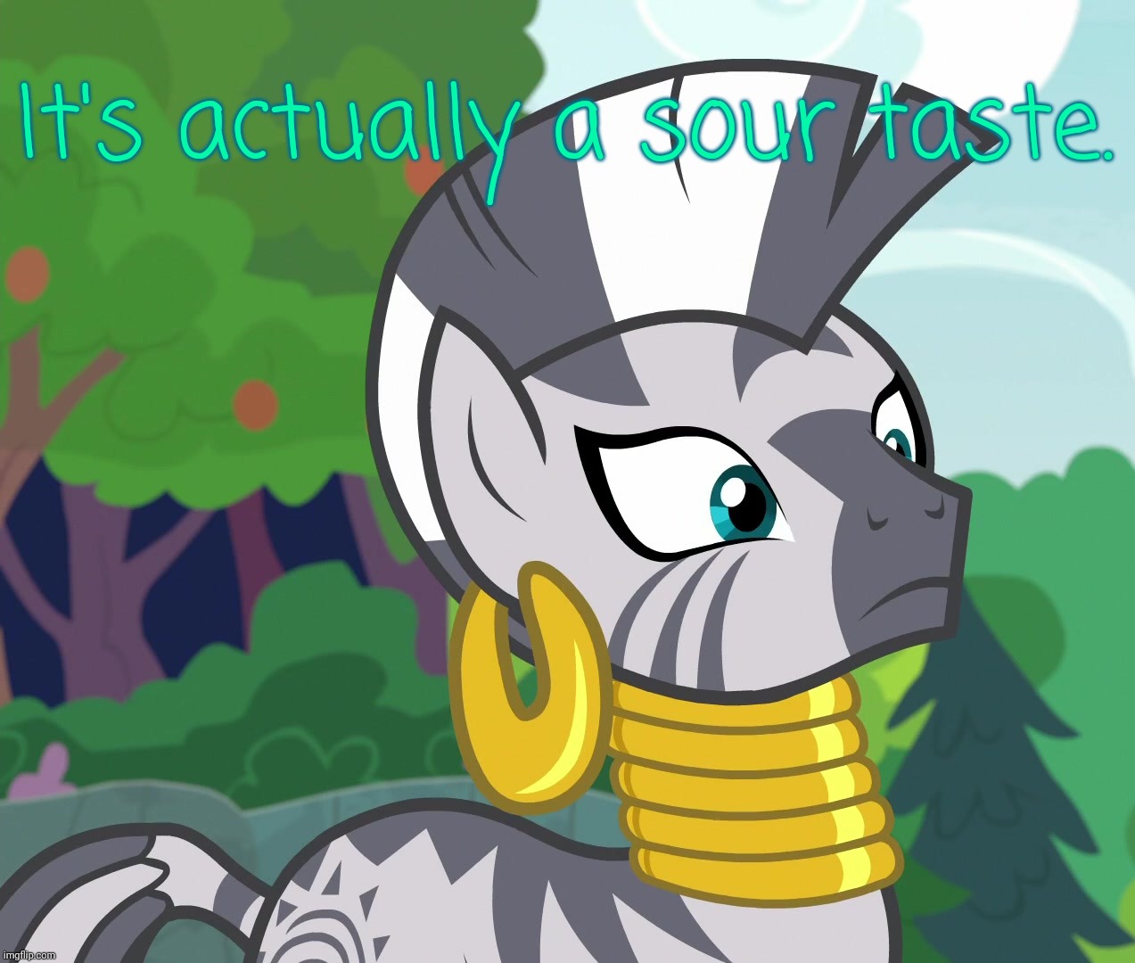 Concerned Zecora (MLP) | It's actually a sour taste. | image tagged in concerned zecora mlp | made w/ Imgflip meme maker