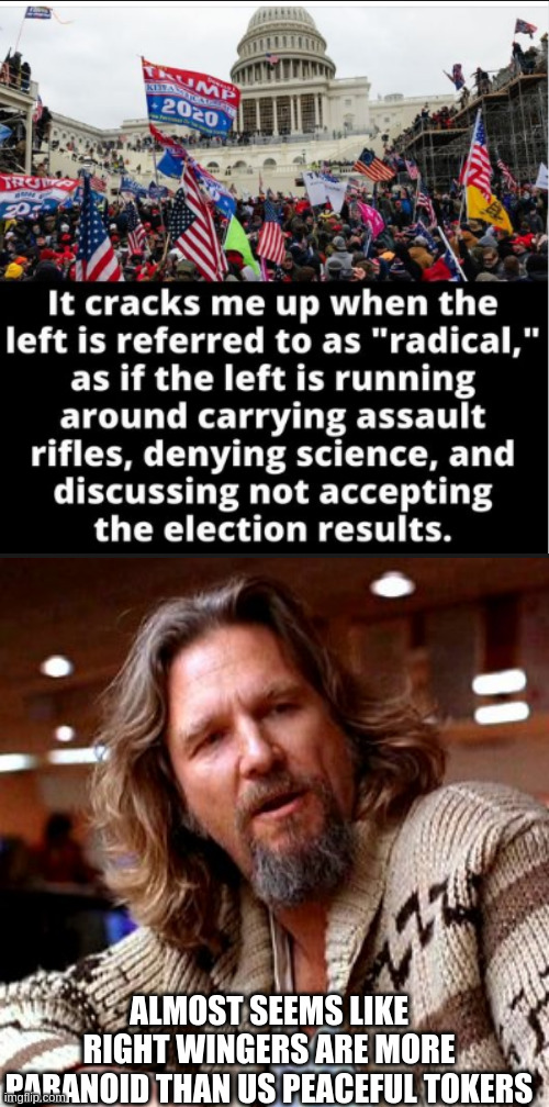 ALMOST SEEMS LIKE RIGHT WINGERS ARE MORE PARANOID THAN US PEACEFUL TOKERS | image tagged in memes,confused lebowski,irony | made w/ Imgflip meme maker