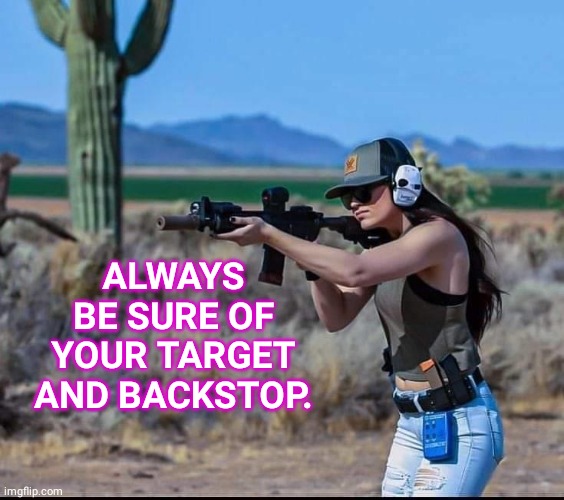 Rule 4 gun safety | ALWAYS BE SURE OF YOUR TARGET AND BACKSTOP. | image tagged in target practice | made w/ Imgflip meme maker