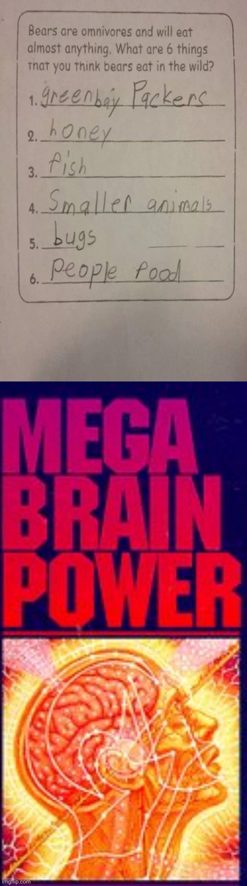Bears | image tagged in mega brain power,memes,meme,bears,answers,answer | made w/ Imgflip meme maker