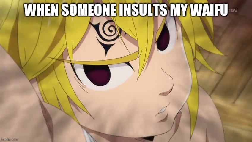Anime Fans? | WHEN SOMEONE INSULTS MY WAIFU | image tagged in anime meme | made w/ Imgflip meme maker
