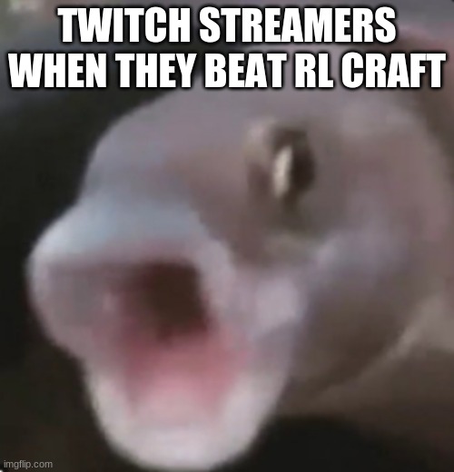 twitch | TWITCH STREAMERS WHEN THEY BEAT RL CRAFT | image tagged in poggers fish,meme is yum | made w/ Imgflip meme maker