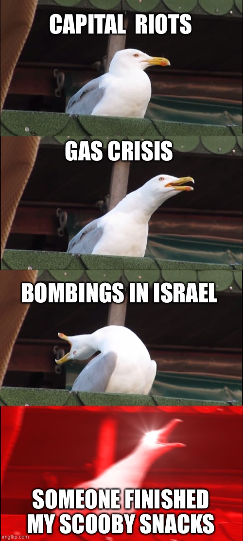 My worst nightmare | CAPITAL  RIOTS; GAS CRISIS; BOMBINGS IN ISRAEL; SOMEONE FINISHED MY SCOOBY SNACKS | image tagged in memes,inhaling seagull | made w/ Imgflip meme maker