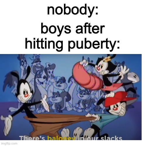 ayo bro | nobody:; boys after hitting puberty: | image tagged in animaniacs,memes,meme | made w/ Imgflip meme maker
