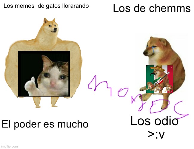 Buff Doge vs. Cheems Meme | Los memes  de gatos llorarando; Los de chemms; El poder es mucho; Los odio
 >:v | image tagged in memes,buff doge vs cheems | made w/ Imgflip meme maker