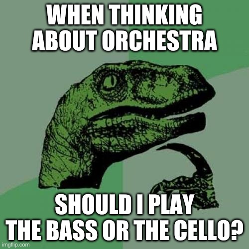 Orchestra Meme's | WHEN THINKING ABOUT ORCHESTRA; SHOULD I PLAY THE BASS OR THE CELLO? | image tagged in memes,philosoraptor | made w/ Imgflip meme maker