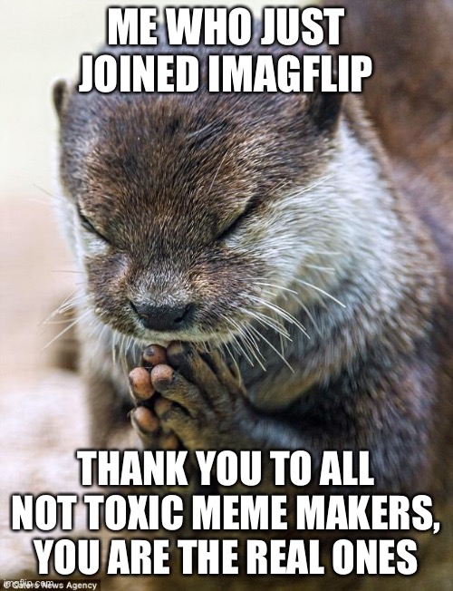 Thank you | ME WHO JUST JOINED IMAGFLIP; THANK YOU TO ALL NOT TOXIC MEME MAKERS, YOU ARE THE REAL ONES | image tagged in thank you lord otter | made w/ Imgflip meme maker