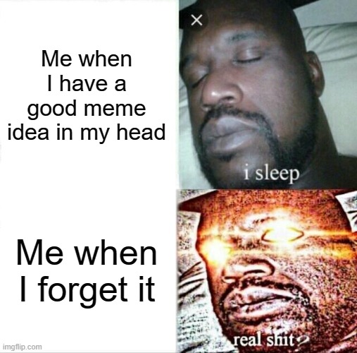 Literally, I hate when it happens | Me when I have a good meme idea in my head; Me when I forget it | image tagged in memes,sleeping shaq,imgflip | made w/ Imgflip meme maker