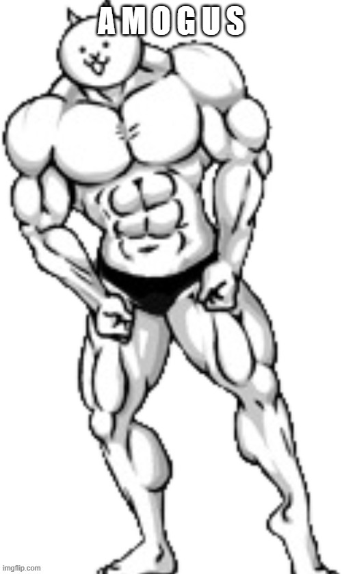 m o g u s | A M O G U S | made w/ Imgflip meme maker