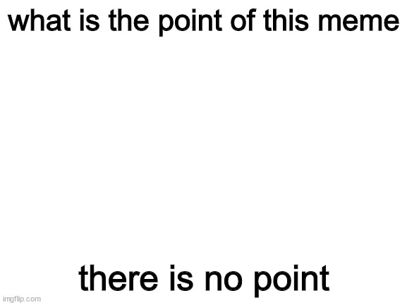 Blank White Template | what is the point of this meme; there is no point | image tagged in blank white template | made w/ Imgflip meme maker
