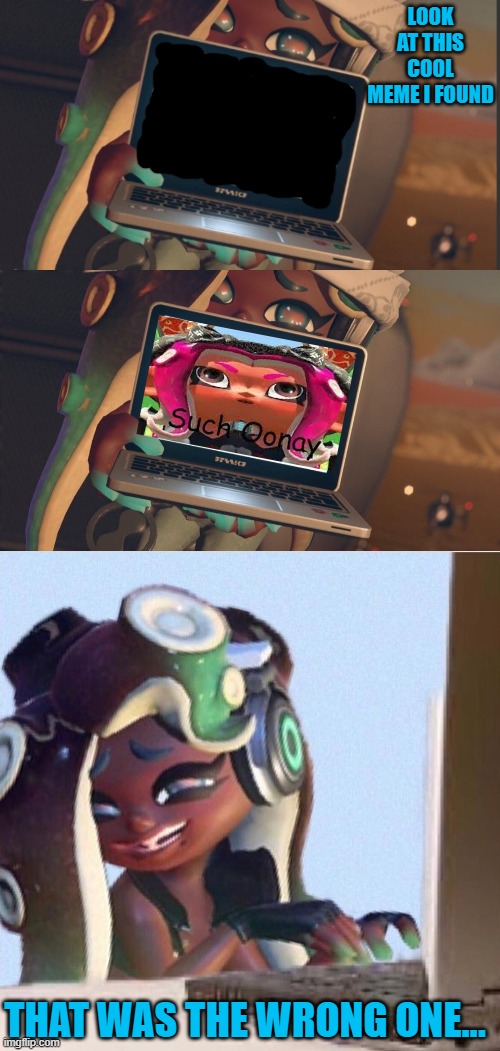 Such Oonay be like | LOOK AT THIS COOL MEME I FOUND; THAT WAS THE WRONG ONE... | image tagged in marina's plan splatoon 2,plan,smug marina | made w/ Imgflip meme maker
