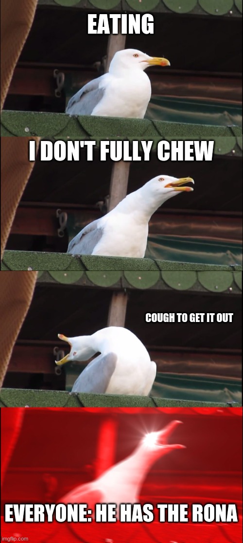 idk peole be like that | EATING; I DON'T FULLY CHEW; COUGH TO GET IT OUT; EVERYONE: HE HAS THE RONA | image tagged in memes,inhaling seagull | made w/ Imgflip meme maker