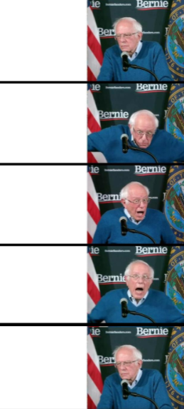 High Quality Bernie Sanders Let Down Blank Meme Template