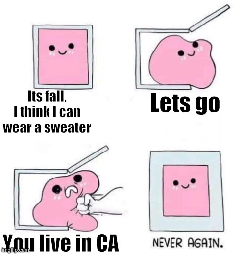 Never again | Its fall, I think I can wear a sweater; Lets go; You live in CA | image tagged in never again | made w/ Imgflip meme maker