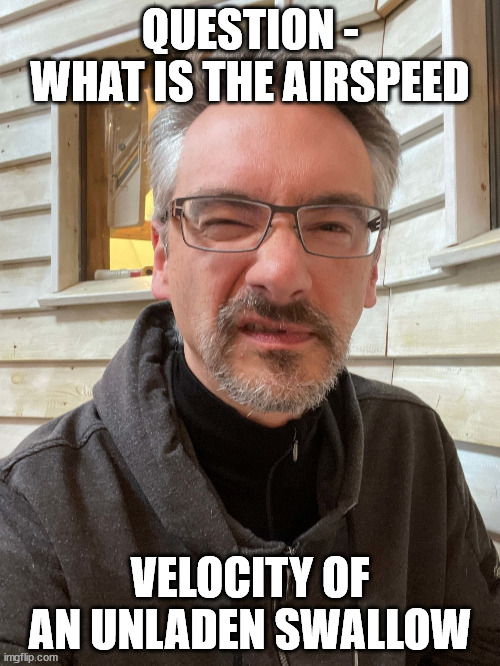 Brent Ozar Feels | QUESTION - WHAT IS THE AIRSPEED; VELOCITY OF AN UNLADEN SWALLOW | image tagged in brent ozar feels | made w/ Imgflip meme maker