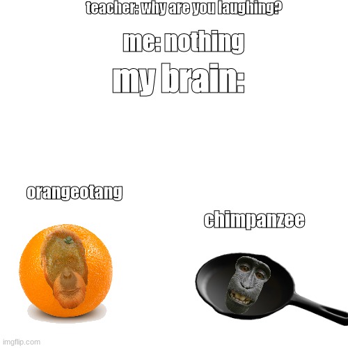 monke is sus1!11! | teacher: why are you laughing? me: nothing; my brain:; orangeotang; chimpanzee | image tagged in monke,funny,memes | made w/ Imgflip meme maker