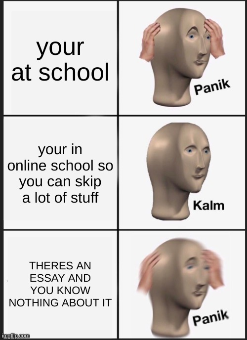 Anyone else have these moments? | your at school; your in online school so you can skip a lot of stuff; THERES AN ESSAY AND YOU KNOW NOTHING ABOUT IT | image tagged in memes,panik kalm panik | made w/ Imgflip meme maker