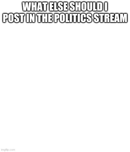 Politics | WHAT ELSE SHOULD I POST IN THE POLITICS STREAM | image tagged in no white and black issues if there were no white black issues,politics | made w/ Imgflip meme maker