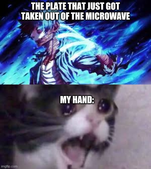 It is like that tho |  THE PLATE THAT JUST GOT TAKEN OUT OF THE MICROWAVE; MY HAND: | image tagged in mha | made w/ Imgflip meme maker