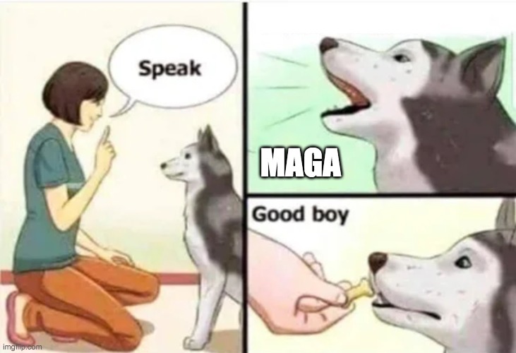 Good boy | MAGA | image tagged in good boy | made w/ Imgflip meme maker