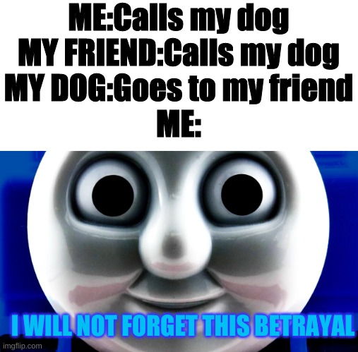 how dare you betray me |  ME:Calls my dog
MY FRIEND:Calls my dog
MY DOG:Goes to my friend
ME:; I WILL NOT FORGET THIS BETRAYAL | image tagged in thomas,never forget,betrayal,dogs | made w/ Imgflip meme maker