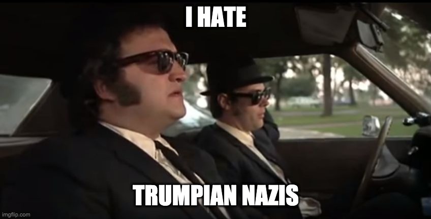 i hate trumpian nazis | I HATE; TRUMPIAN NAZIS | image tagged in blues brothers nazis | made w/ Imgflip meme maker