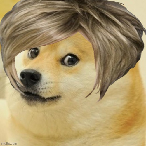 Doge Karen - Much Disrespect (Help Me) | image tagged in doge,karen,memes,funny | made w/ Imgflip meme maker