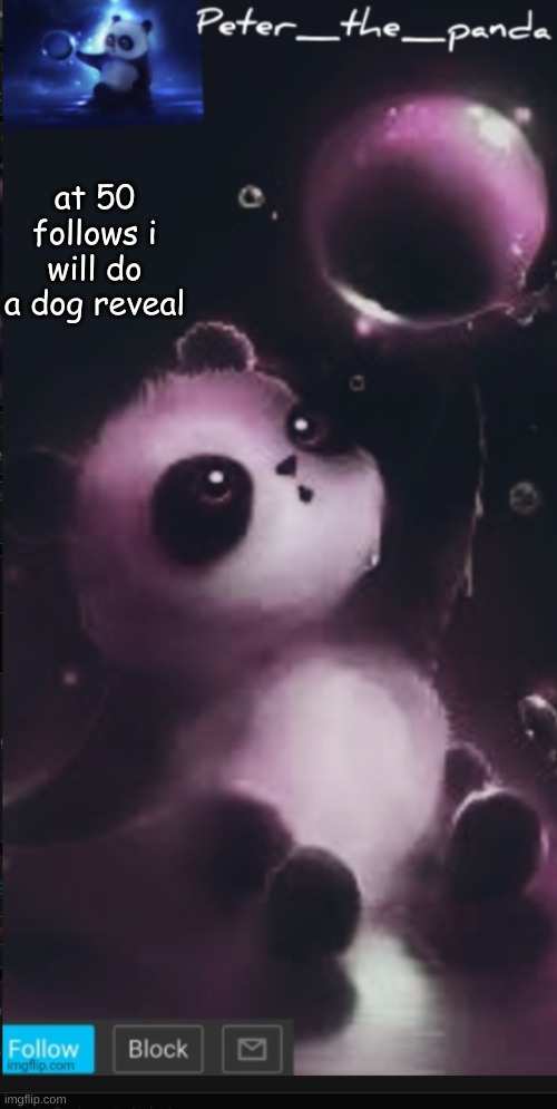 only 2 more | at 50 follows i will do a dog reveal | image tagged in peter_the_panda template | made w/ Imgflip meme maker