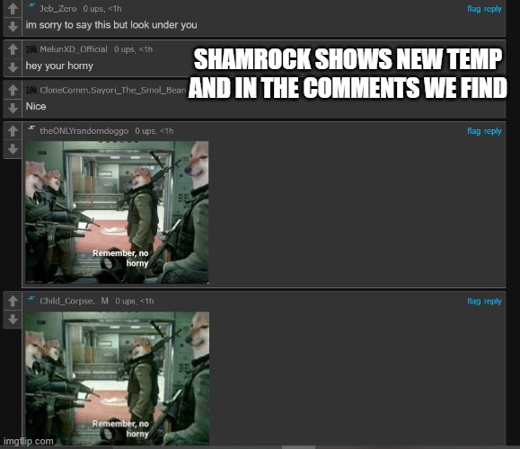 well shamrock what do you think of MSMG because this is as real as it gets kid lol | SHAMROCK SHOWS NEW TEMP AND IN THE COMMENTS WE FIND | image tagged in d | made w/ Imgflip meme maker