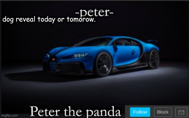 dog | dog reveal today or tomorow. | image tagged in peter_the_panda | made w/ Imgflip meme maker