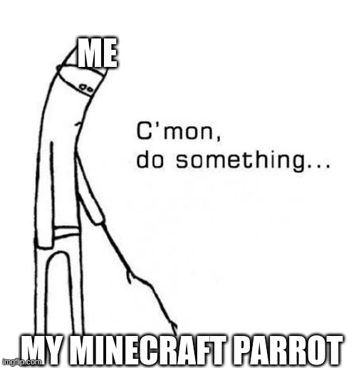 cmon do something | ME; MY MINECRAFT PARROT | image tagged in cmon do something | made w/ Imgflip meme maker