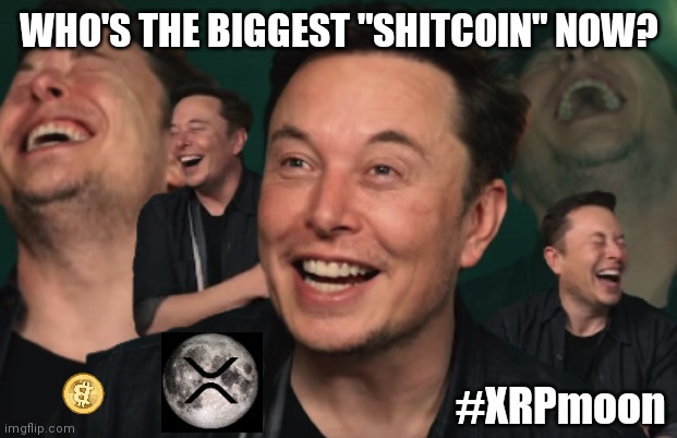 XRP is Clean, Green & Premined. #GoldQFS | WHO'S THE BIGGEST "SHITCOIN" NOW? #XRPmoon | image tagged in elon musk laughing,bitcoin,dogecoin,xrp,the moon,cryptocurrency | made w/ Imgflip meme maker