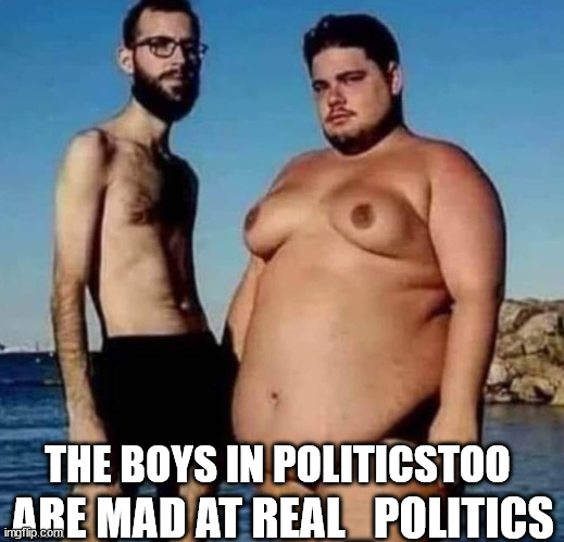 THEY ARE SCARED TO ENGAGE | THE BOYS IN POLITICSTOO; ARE MAD AT REAL_POLITICS | image tagged in libtards | made w/ Imgflip meme maker