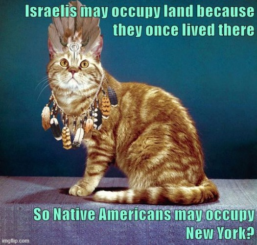Is it okay for an occupying force to defend itself against the people they drove out? | image tagged in israel,palestine,gaza,native american | made w/ Imgflip meme maker