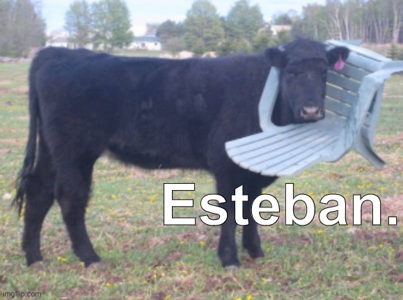 made my own version of the Juan horse | Esteban. | image tagged in cow,meme,funny | made w/ Imgflip meme maker