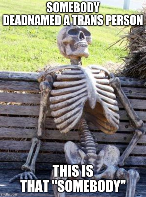 Waiting Skeleton | SOMEBODY DEADNAMED A TRANS PERSON; THIS IS THAT "SOMEBODY" | image tagged in memes,waiting skeleton | made w/ Imgflip meme maker