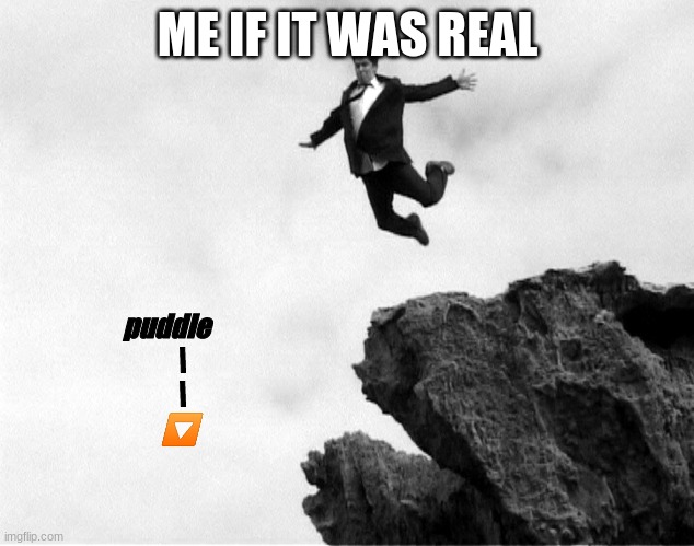 Man Jumping Off a Cliff | ME IF IT WAS REAL puddle
     \
     \
     ? | image tagged in man jumping off a cliff | made w/ Imgflip meme maker