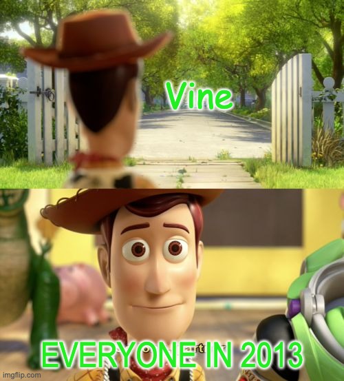 So long partner | Vine; EVERYONE IN 2013 | image tagged in so long partner,vine,f in the chat | made w/ Imgflip meme maker
