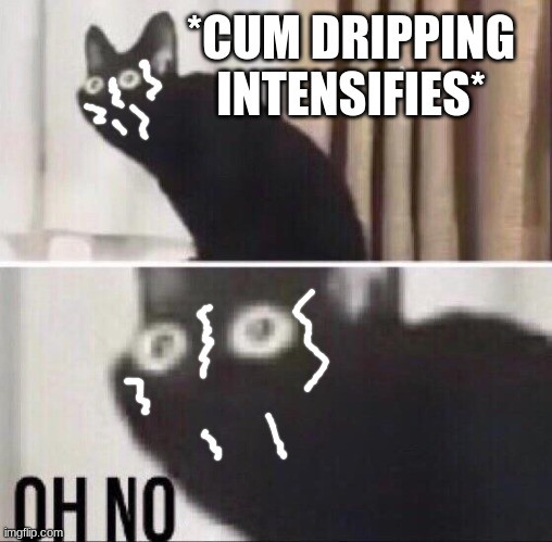 Oh no cat | *CUM DRIPPING INTENSIFIES* | image tagged in oh no cat | made w/ Imgflip meme maker