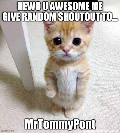 Cute Cat Meme | HEWO U AWESOME ME GIVE RANDOM SHOUTOUT TO... MrTommyPont | image tagged in memes,cute cat | made w/ Imgflip meme maker