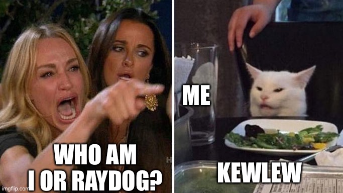 He’s such a nice guy! | ME; KEWLEW; WHO AM I OR RAYDOG? | image tagged in angry lady cat | made w/ Imgflip meme maker