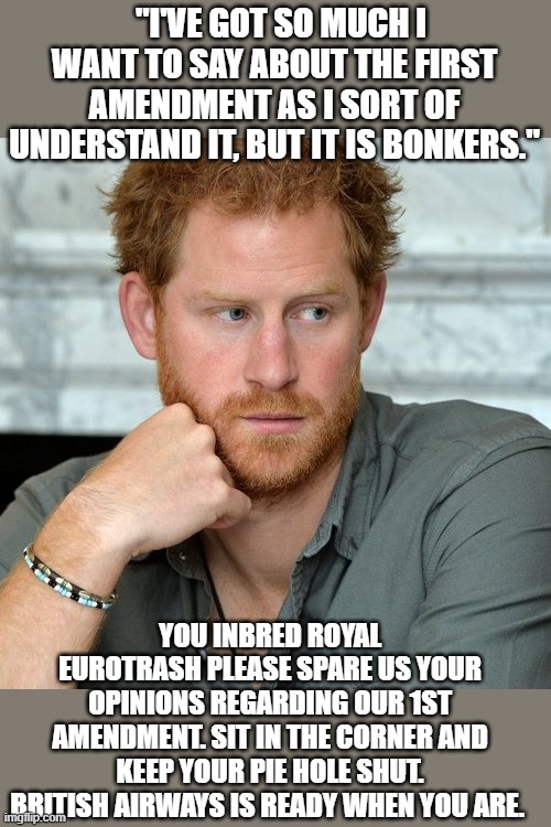 Prince Harry | "I'VE GOT SO MUCH I WANT TO SAY ABOUT THE FIRST AMENDMENT AS I SORT OF UNDERSTAND IT, BUT IT IS BONKERS."; YOU INBRED ROYAL EUROTRASH PLEASE SPARE US YOUR OPINIONS REGARDING OUR 1ST AMENDMENT. SIT IN THE CORNER AND KEEP YOUR PIE HOLE SHUT. BRITISH AIRWAYS IS READY WHEN YOU ARE. | image tagged in prince harry | made w/ Imgflip meme maker