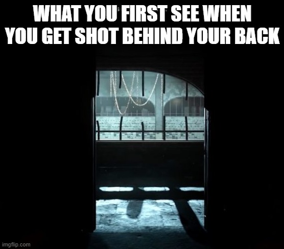 the gulag amirite | WHAT YOU FIRST SEE WHEN YOU GET SHOT BEHIND YOUR BACK | image tagged in cod gulag | made w/ Imgflip meme maker