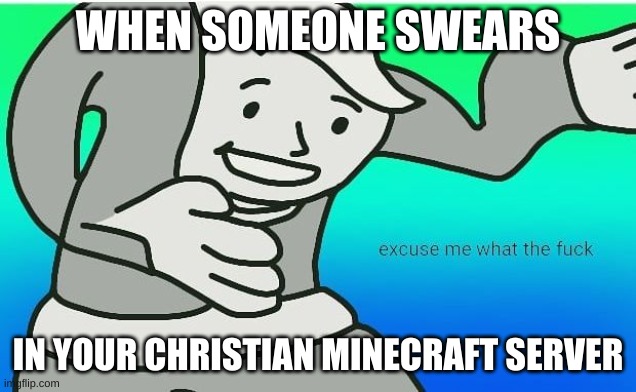 christian minecraft server | WHEN SOMEONE SWEARS; IN YOUR CHRISTIAN MINECRAFT SERVER | image tagged in fallout boy excuse me wyf | made w/ Imgflip meme maker